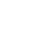 Ferret - Animal