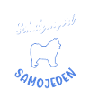 Samojede Schutzengel Schlittenhund Samojeden