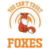 Fuchs Geschenk Rotfuchs