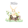 Skovdyr Hjorte Hare Pindsvin Blomster Navn Milo