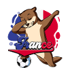 France Football