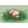 Hase und Erdbeeren