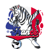 Frankreich Fußball