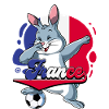 Frankreich Fußball