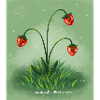 Erdbeeren