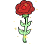 Grow In Grace – Christian