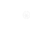 techno 333