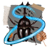 Large insect