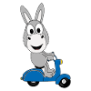 ESEL - ROLLER - TIER - TIERISCH