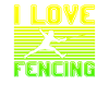 I love fencing