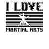I love martial arts