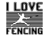 I love fencing