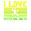 I love martial arts