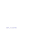 Calcio Bosnia-Erzegovina Bosna Fudbal