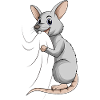 Ratten