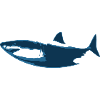 Design Requin