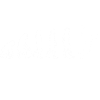 évolution basket