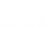 Evolution surf