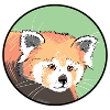 Red panda wore