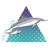 Dolphin family