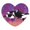 Orca family