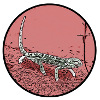 Chameleon