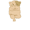 ZEN MIND