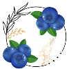 Timeless blueberry