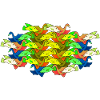 Dove Fish