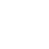 Small white bird