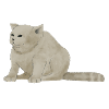 Fat spoiled cat