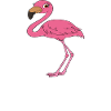 Funny flamingo graphics