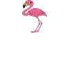 Funny flamingo graphics