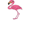 Funny flamingo graphics