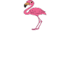 Funny flamingo graphics