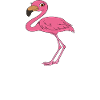 Lustige Flamingo-Grafik