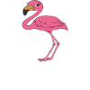 Funny flamingo graphics