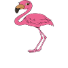 Funny flamingo graphics