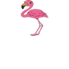 Funny flamingo graphics