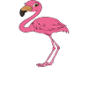 Lustige Flamingo-Grafik