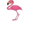 Drôles de graphismes flamants roses