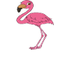 Funny flamingo graphics
