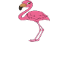Funny flamingo graphics