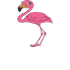 Funny flamingo graphics