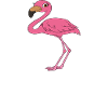 Funny flamingo graphics
