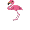 Funny flamingo graphics