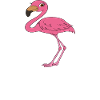Funny flamingo graphics