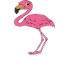 Funny flamingo graphics