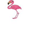 Funny flamingo graphics