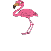 Funny flamingo graphics